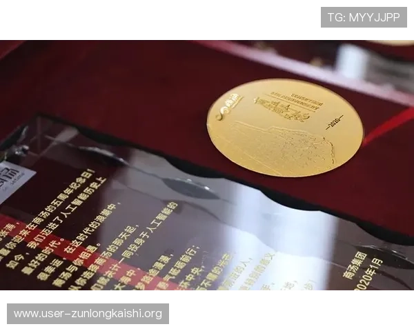 凯时尊龙官方网站安全可靠登录指南保障玩家账号信息安全与游戏顺畅体验 凯时尊龙官方网站安全可靠登录指南保障玩家账号信息安全与游戏顺畅体验
